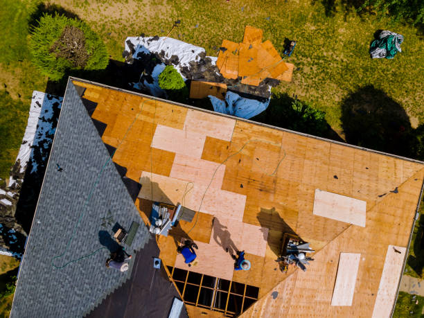 Best Storm Damage Roof Repair  in Rutherford, TN