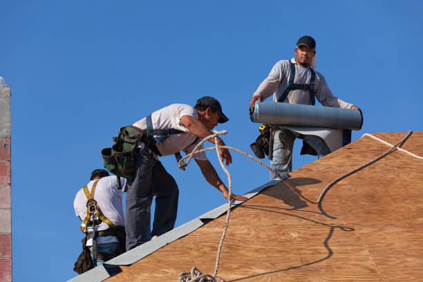 Best Gutter Installation and Roofing  in Rutherford, TN