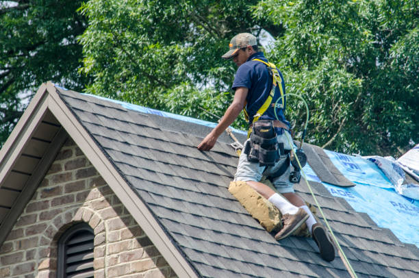 Best Residential Roofing Contractor  in Rutherford, TN